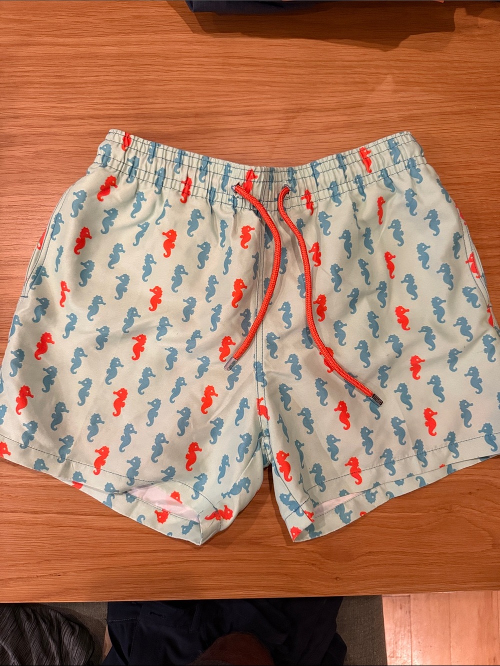 Mens Capelle 4” swim trunks